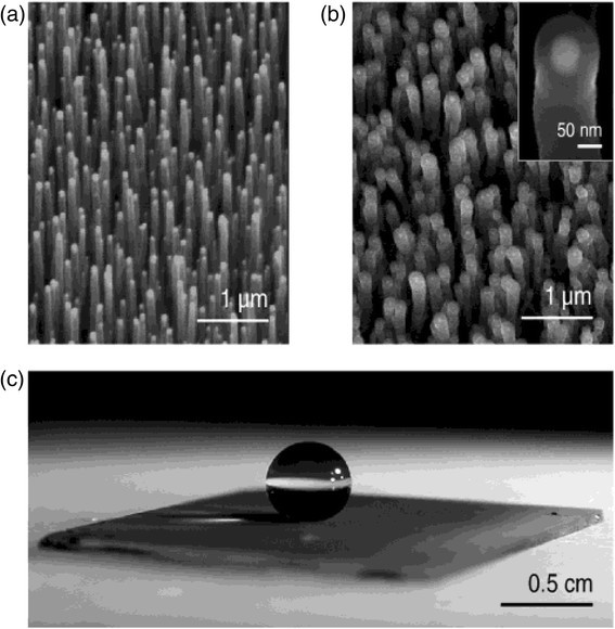 Osmium PE-CVD Coating Service
