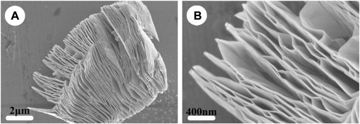 Custom Multilayer Coating Service