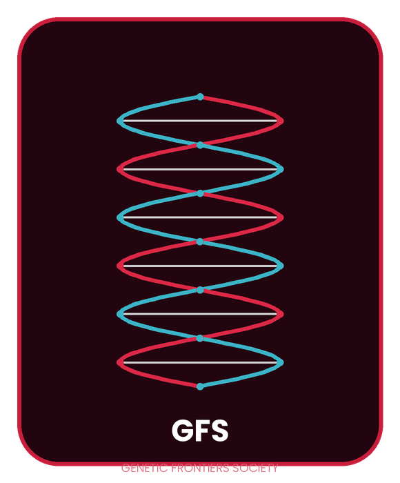 Engineering and Education College Zurich logo